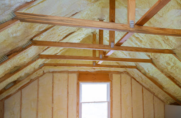 Best Insulation Installation Services in San Felipe Pueblo, NM