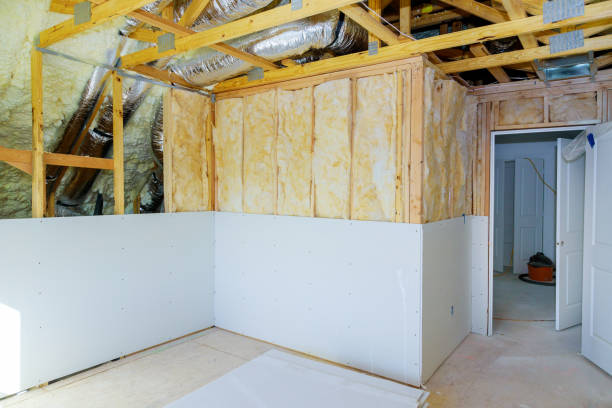 Best Insulation Installation Services in San Felipe Pueblo, NM