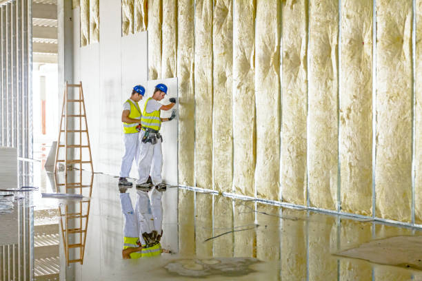 Best Insulation Maintenance and Repair in San Felipe Pueblo, NM
